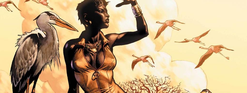 Appreciating The Cultural Significance Of Vixen And Her Role In The DC Universe